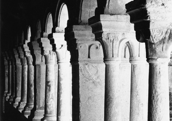 Abbaye de Sénanque