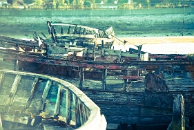 _DSC9553 Cimetière marin - Noirmoutier