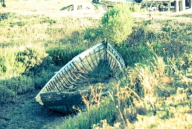 _DSC9565 Cimetière marin - Noirmoutier